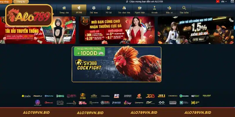 ALO789 Éc 🎖️ Link Đăng Ký alo789 com Đá Gà Trực Tiếp Trại Buôn Người 20/10 3 Ba loại cựa đá gà cựa dao cựa sắt tròn và gà đòn tại ALO789